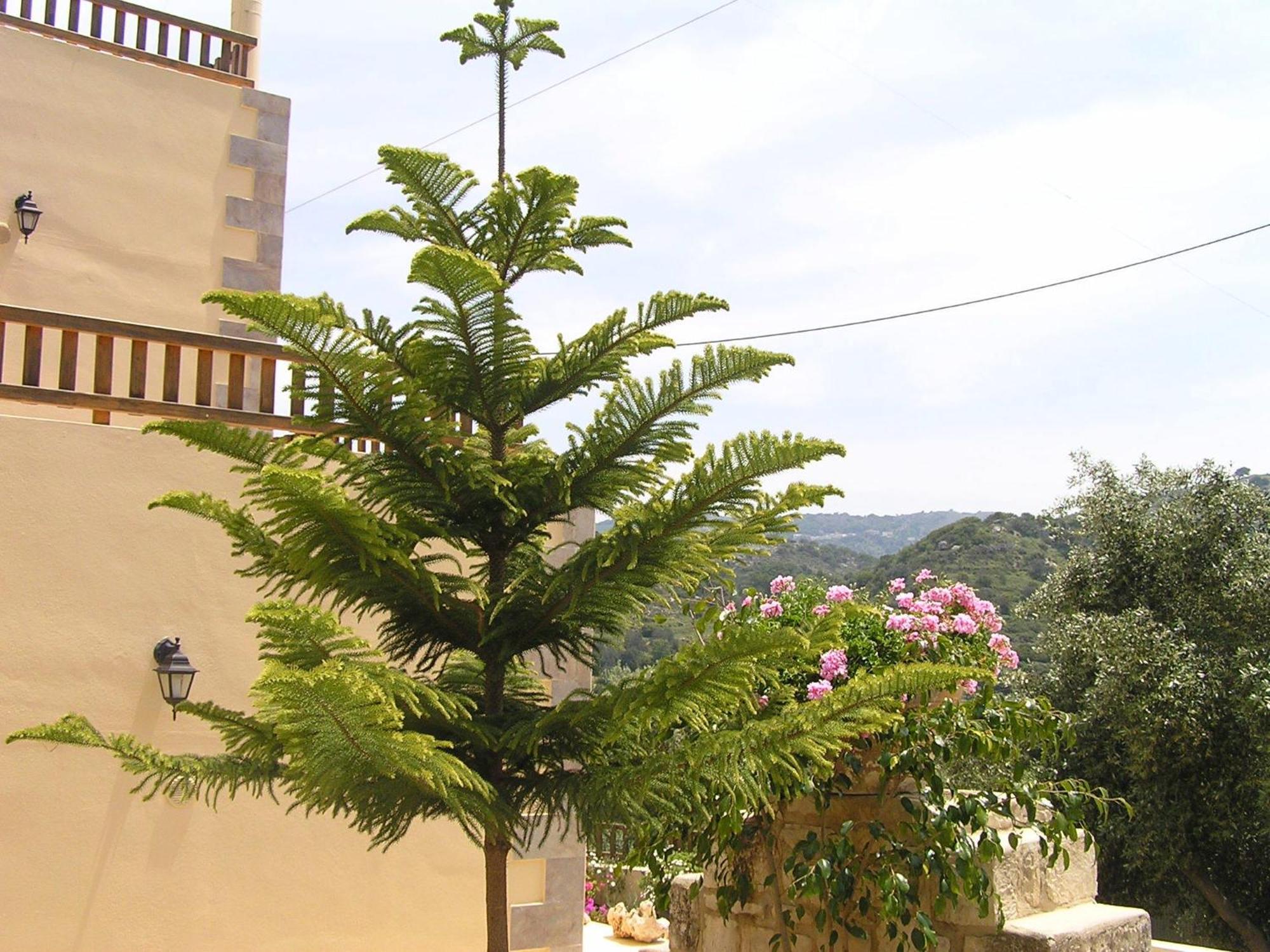 Stratos Villas Kaloniktis Exteriér fotografie