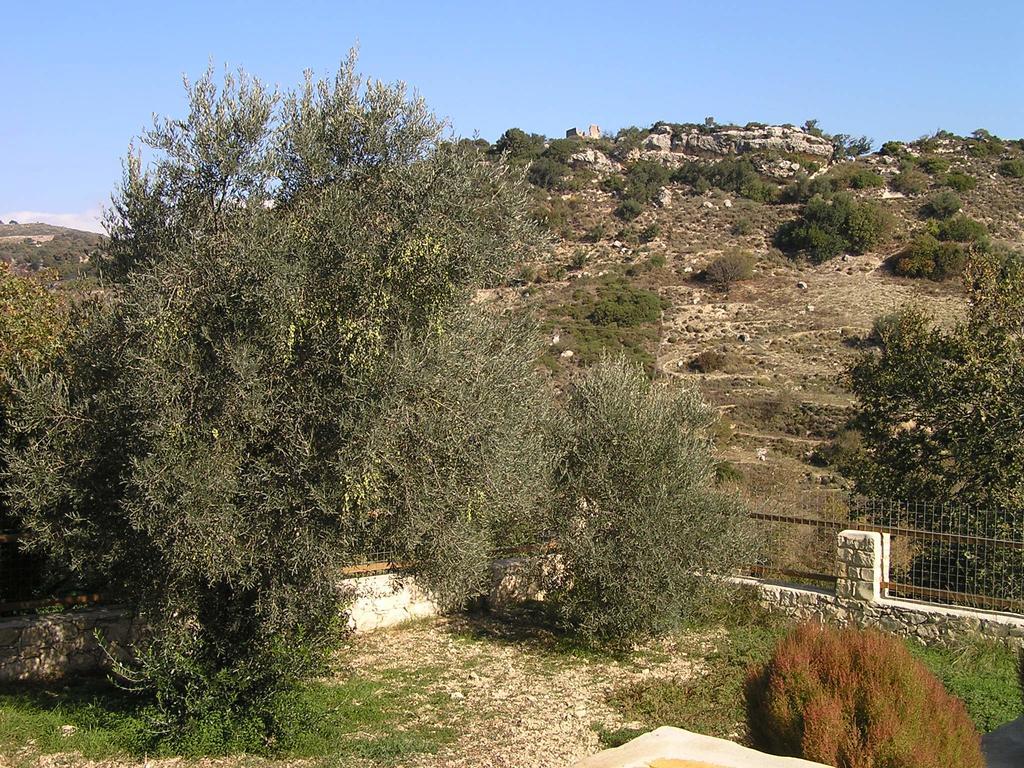Stratos Villas Kaloniktis Exteriér fotografie
